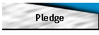 Pledge